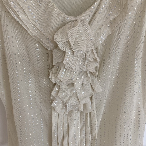 The Limited Sleeveless Sheer Silver Metallic Top - Picture 3 of 6